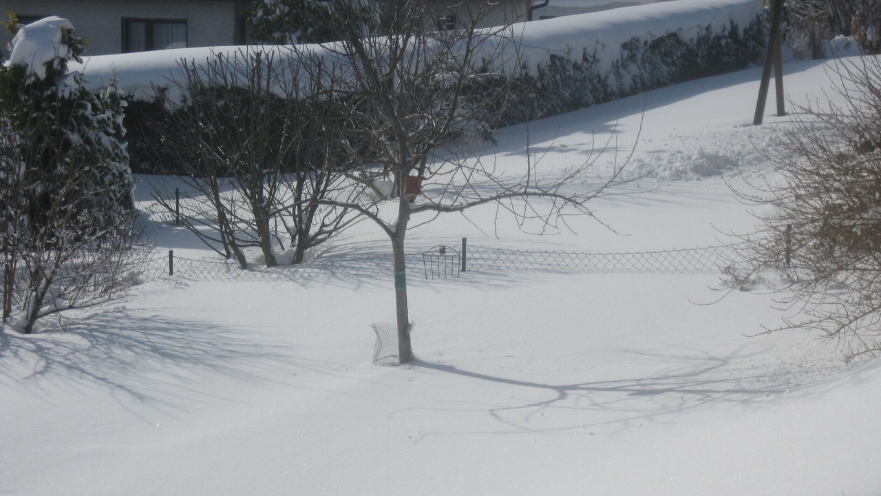 Photo of Outdoor in Schoenwald