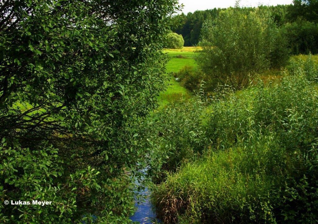 Photo of Outdoor in Schoenwald