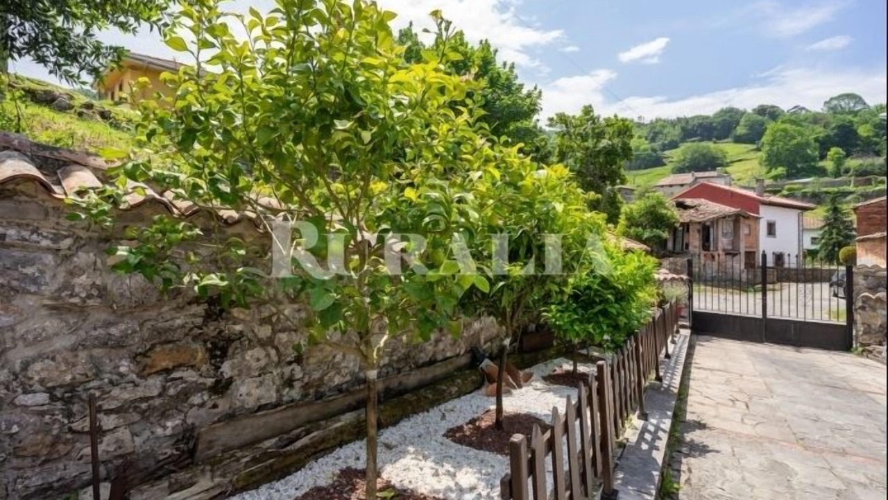 Photo of Outdoor in Puente Nuevo