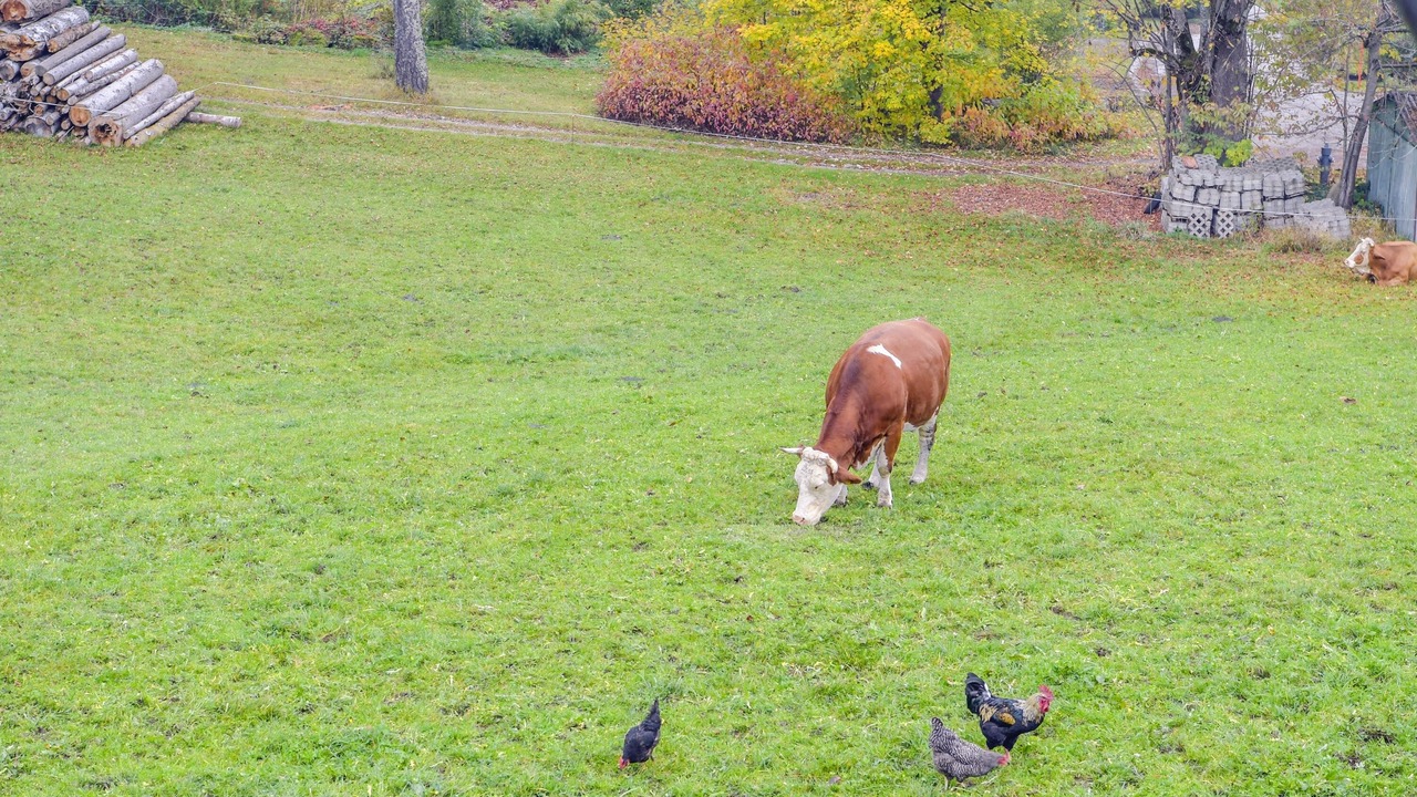 Photo of Others in Wackersberg