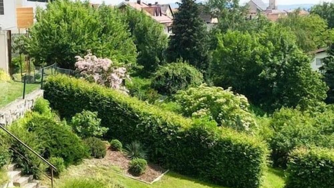 Photo of Outdoor in Hauzenberg
