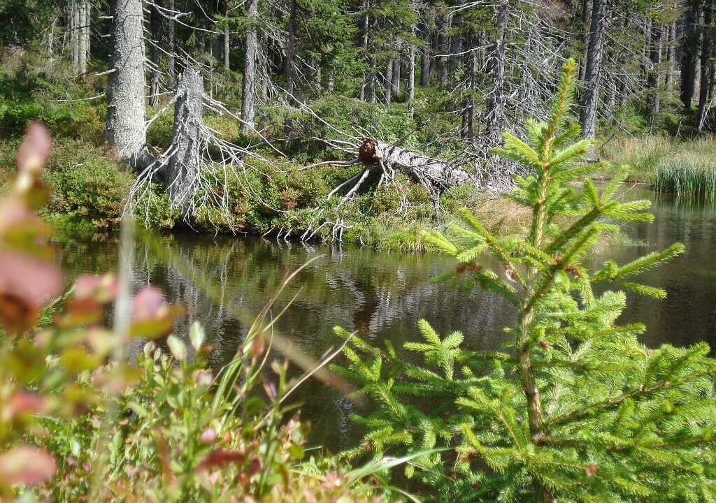 Photo of Outdoor in Lam