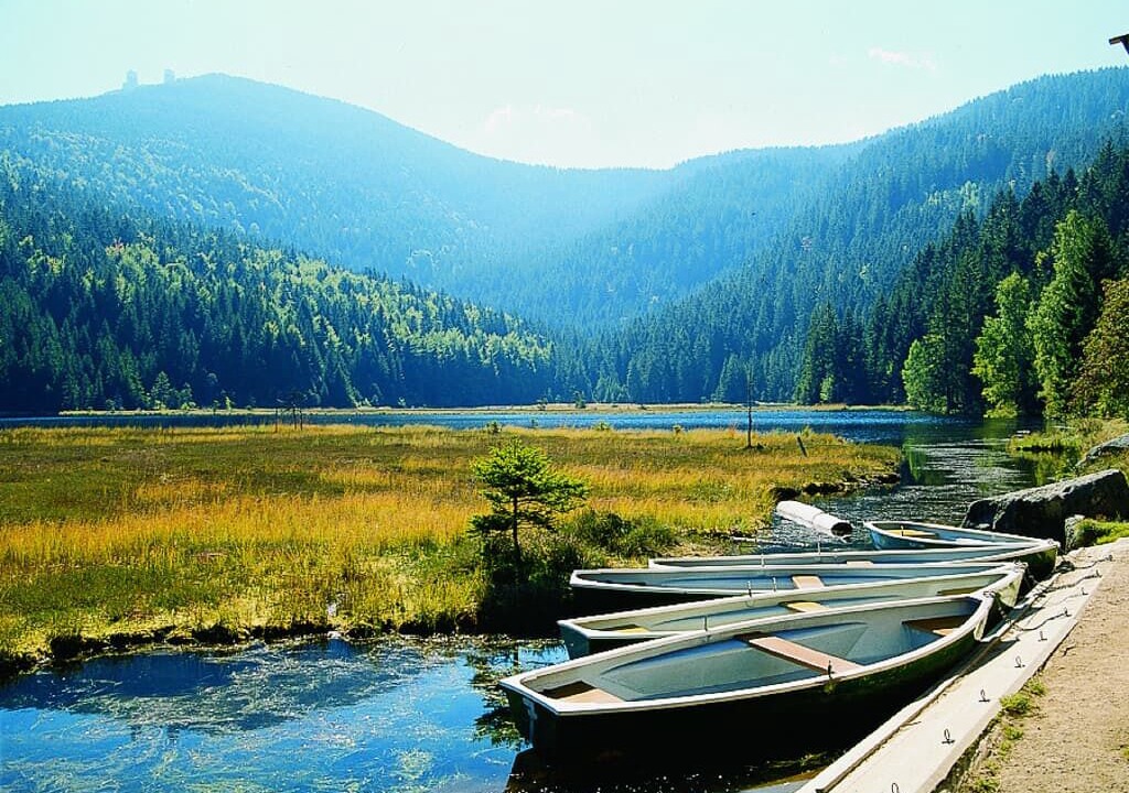 Photo of Outdoor in Lam