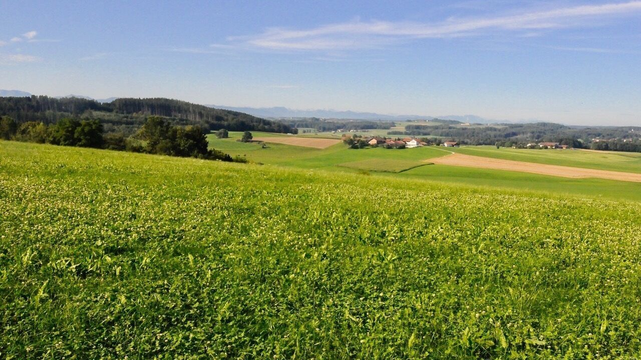 Photo of Others in Ebersberg District