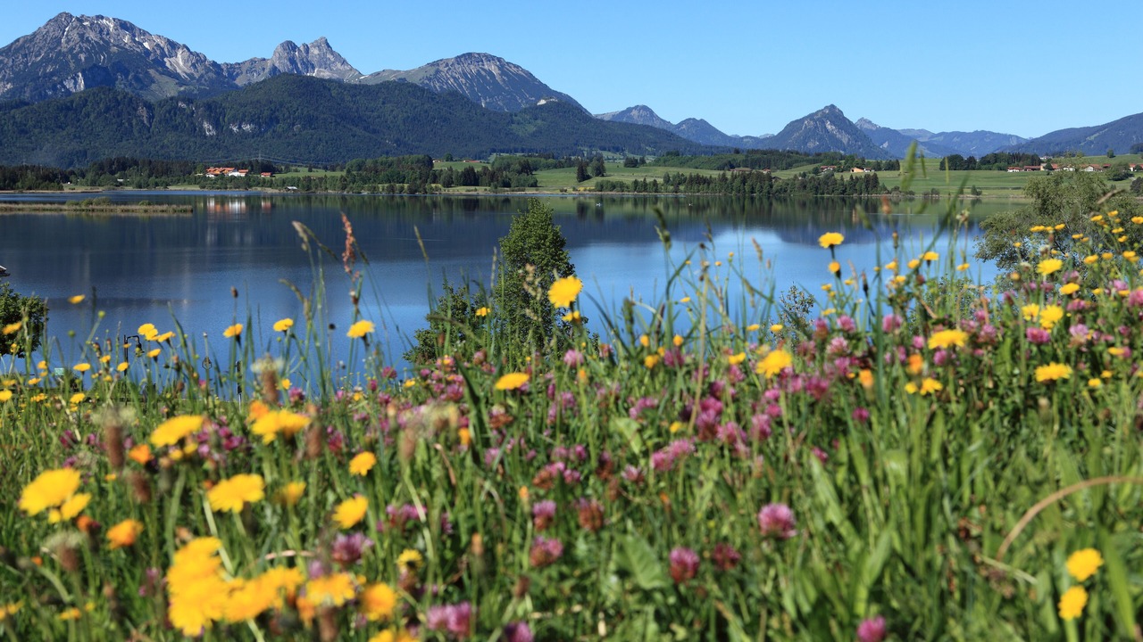 Photo of Outdoor in Fuessen
