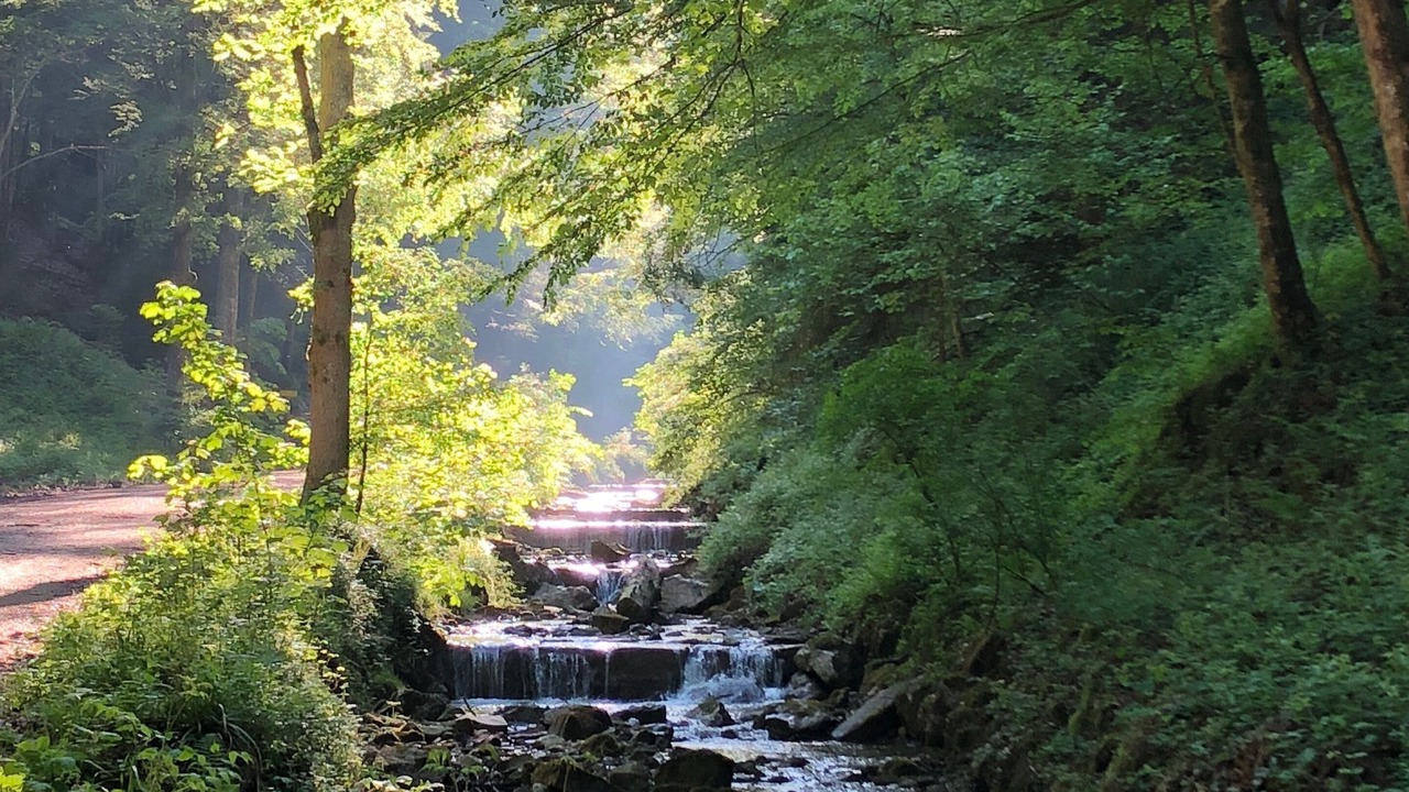 Photo of Outdoor in Fischbachau