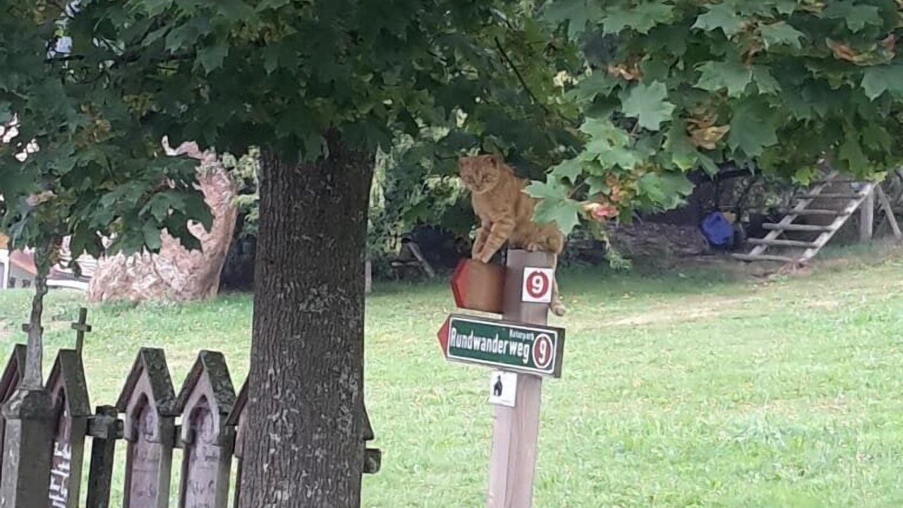 Photo of Outdoor in Bobrach