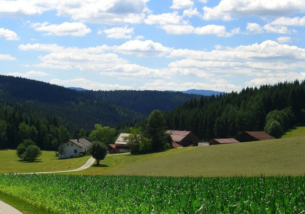 Photo of Others in Bobrach