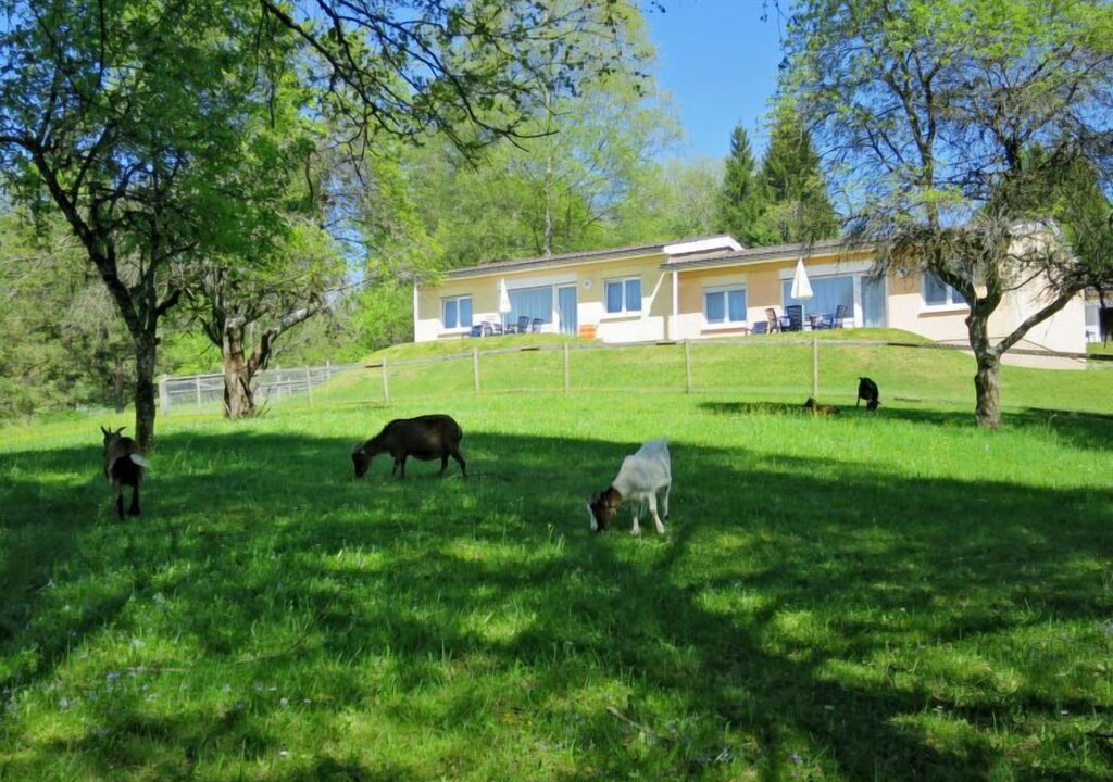Photo of Others in Stockach