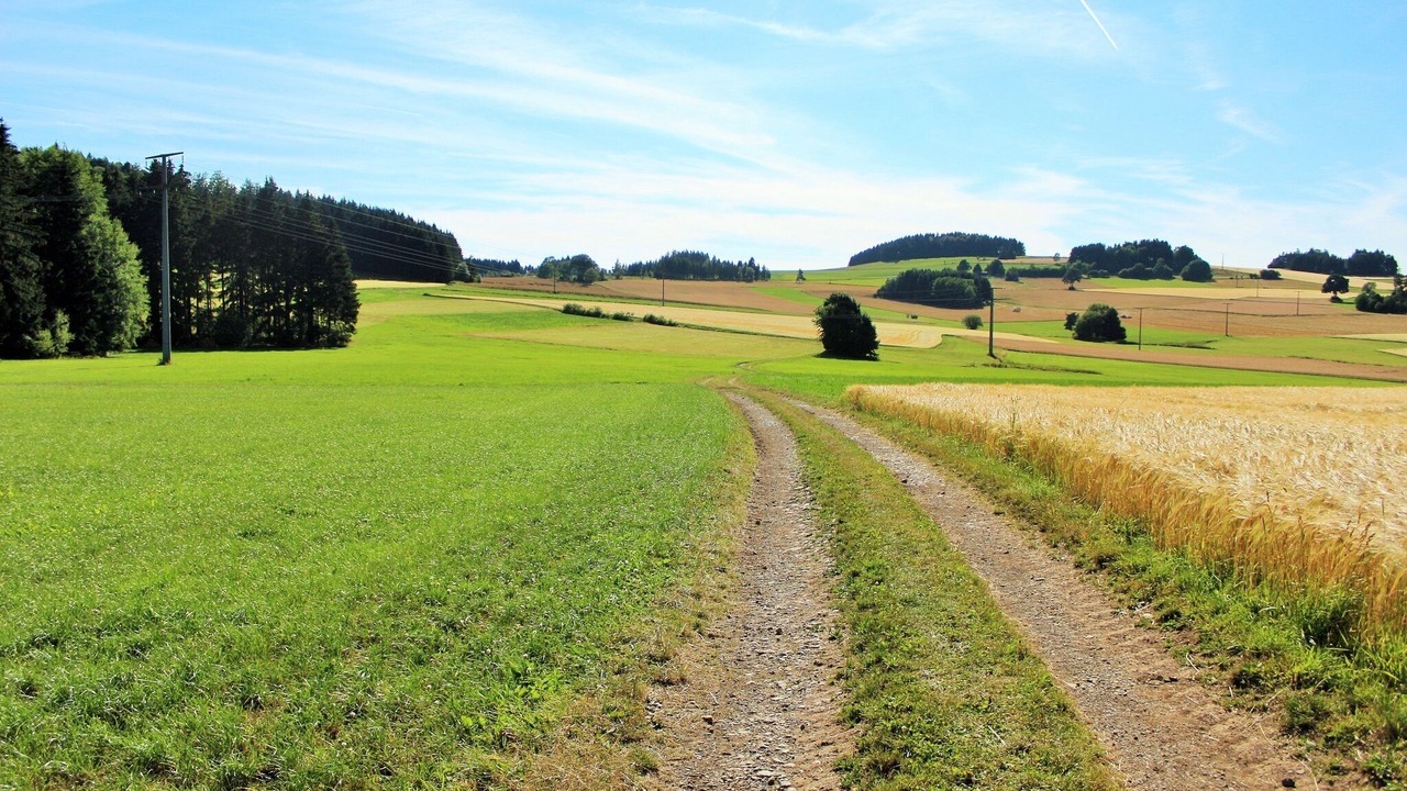 Photo of Outdoor in Bad Steben