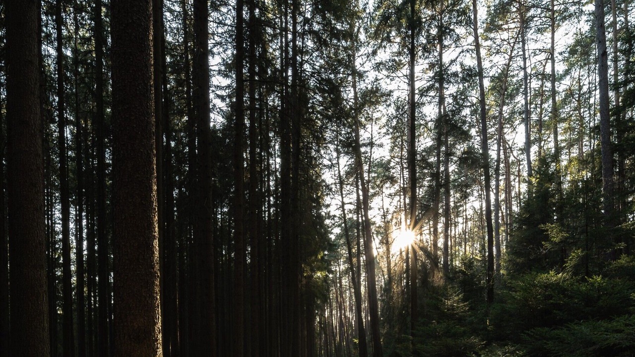 Photo of Outdoor in Hausles