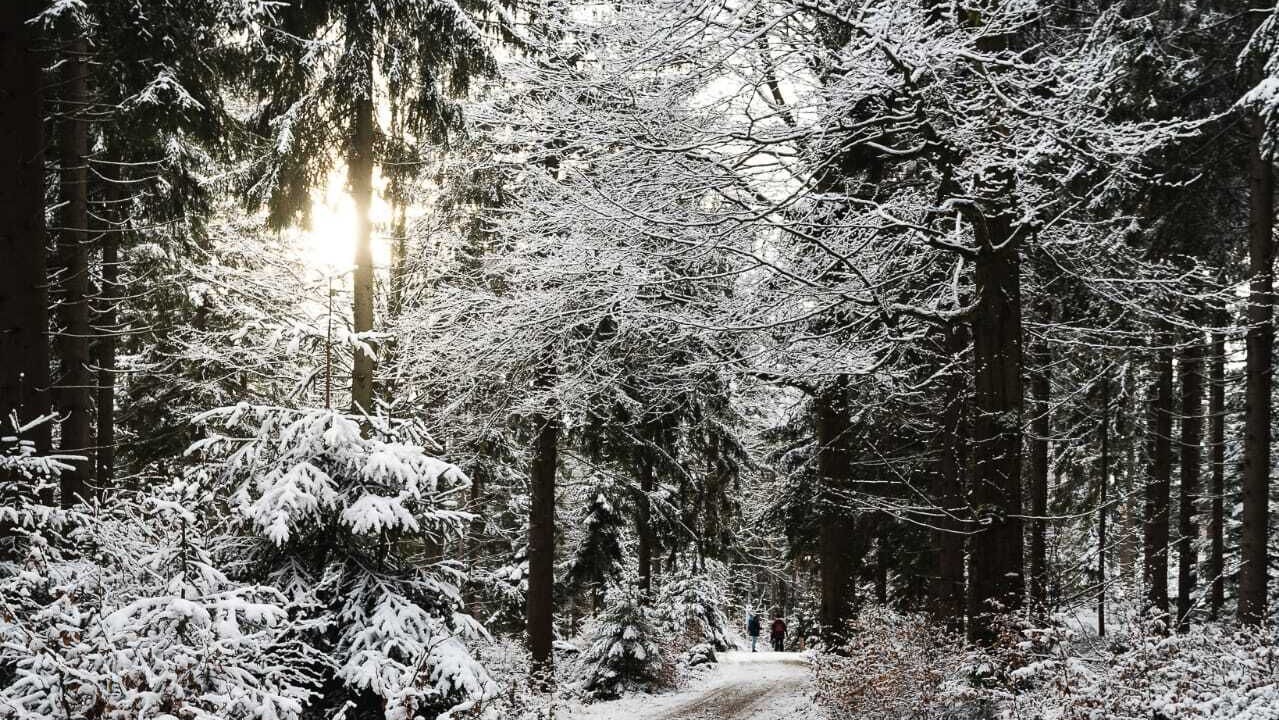 Photo of Outdoor in Hausles