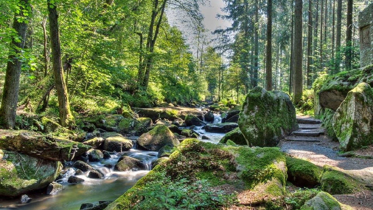 Photo of Outdoor in Finsterau