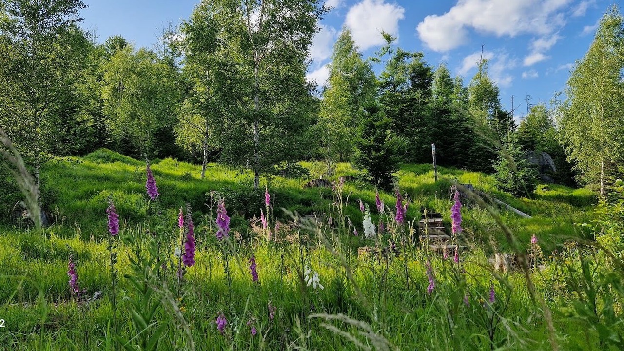 Photo of Outdoor in Finsterau