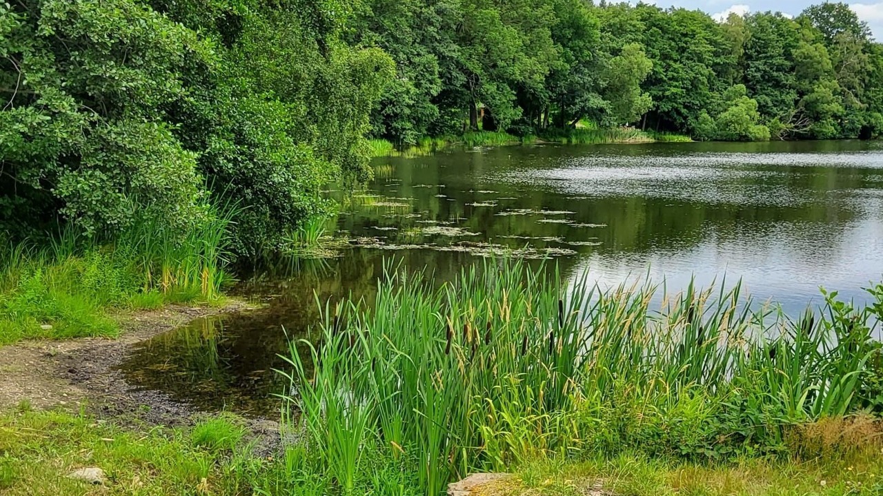 Photo of Outdoor in Brand-Erbisdorf