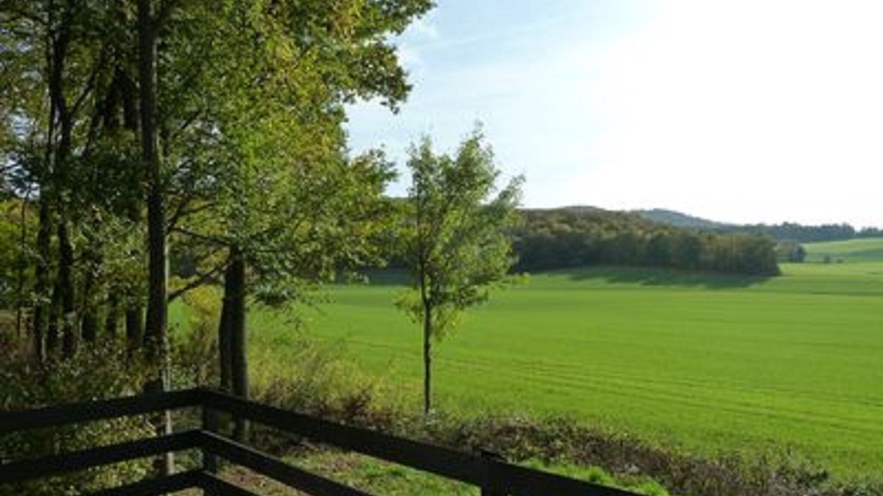 Photo of Outdoor in Sulzfeld