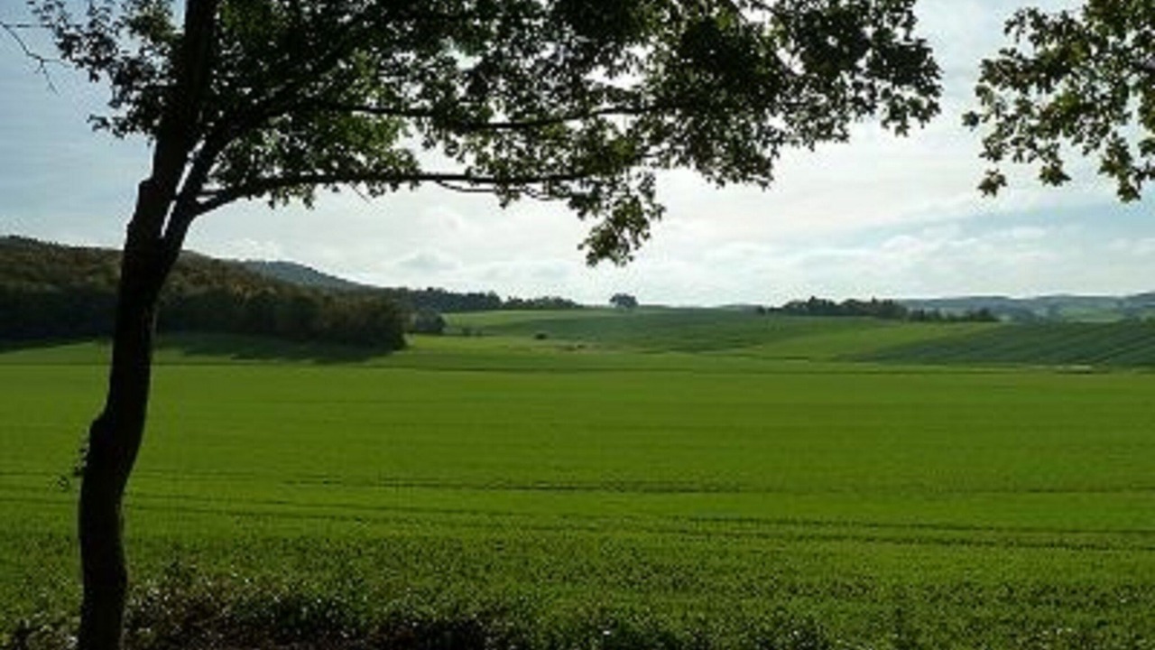Photo of Others in Sulzfeld