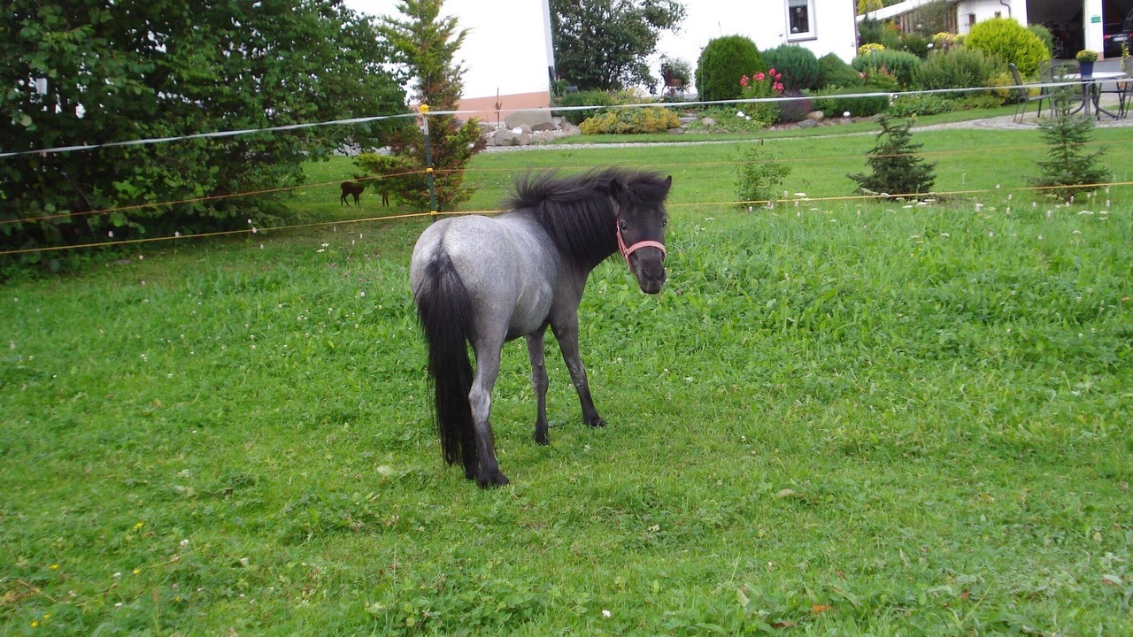 Photo of Outdoor in Bad Steben