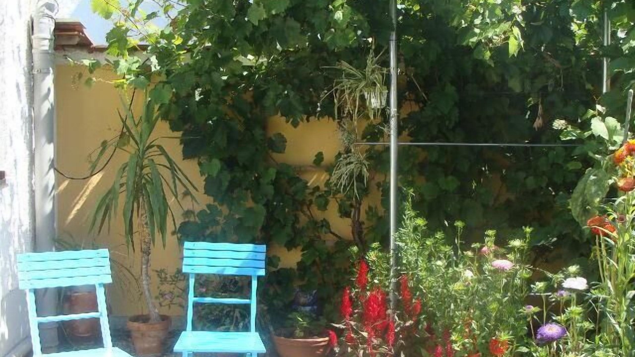 Photo of Outdoor in Safferstetten