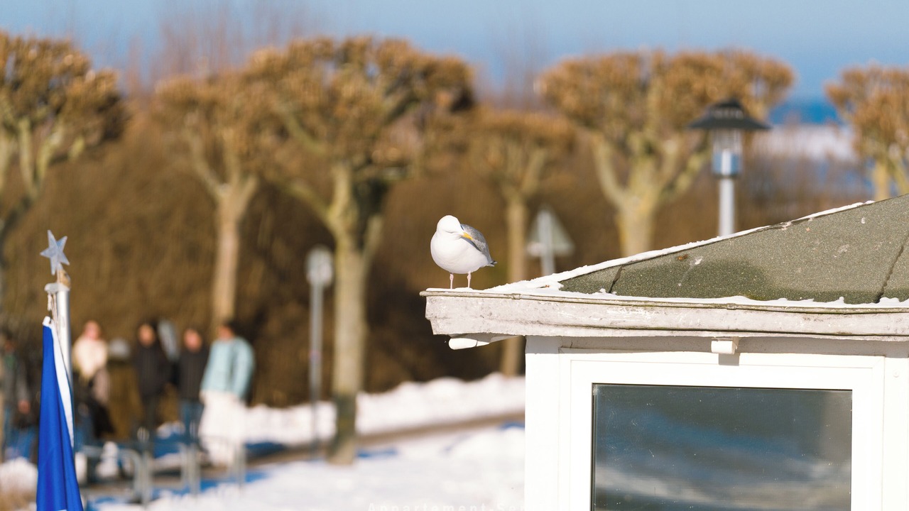 Photo of Others in Laboe