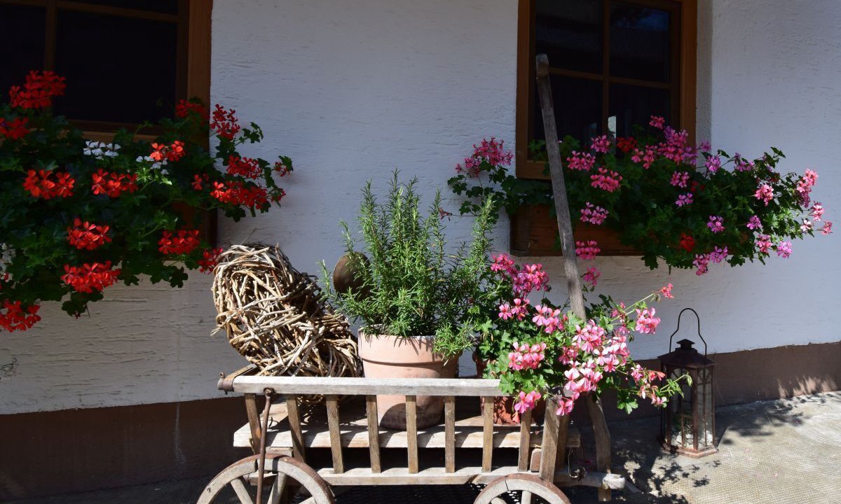 Photo of Outdoor in Teisendorf
