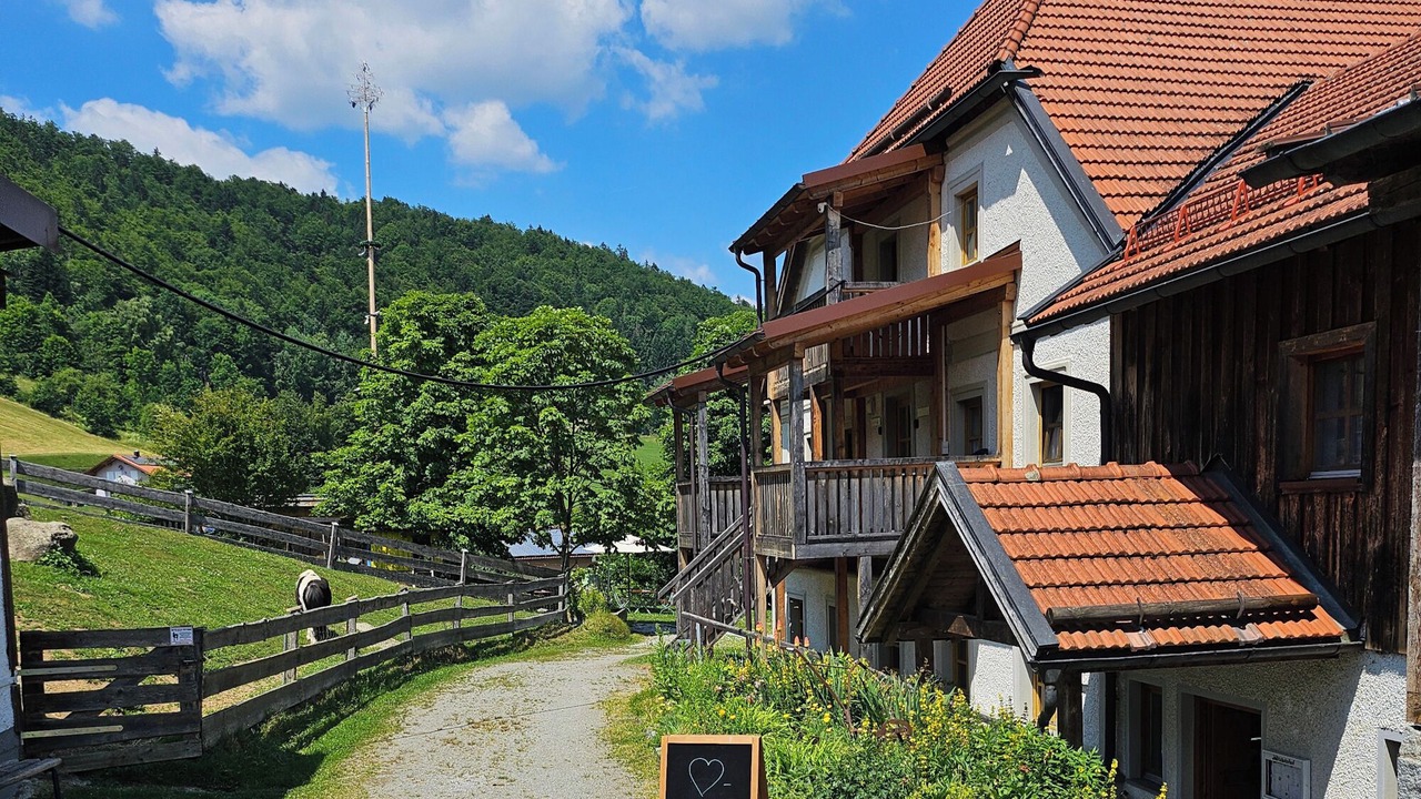 Photo of Outdoor in Ringelai