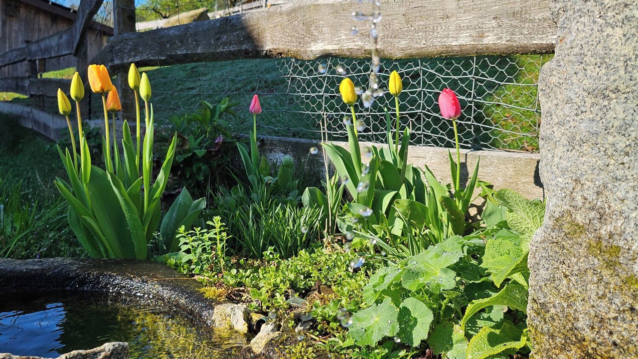 Photo of Outdoor in Ringelai