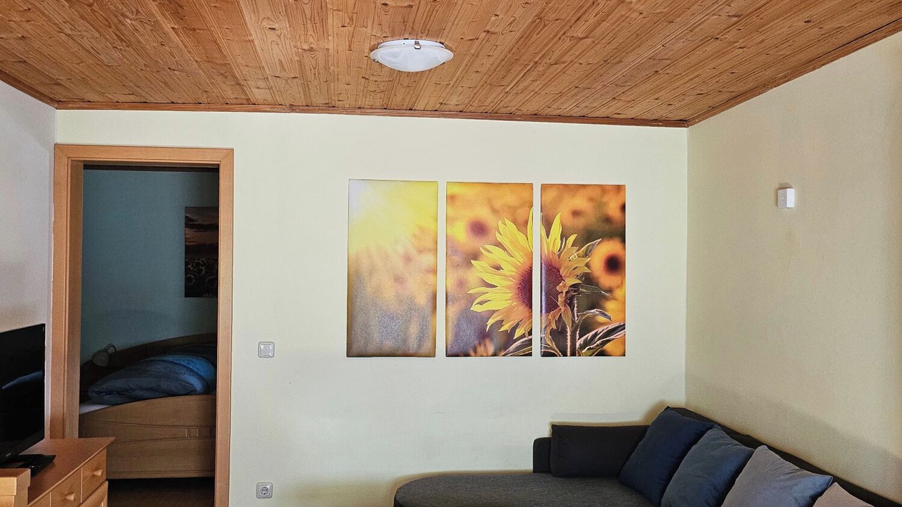 Photo of Livingroom in Ringelai