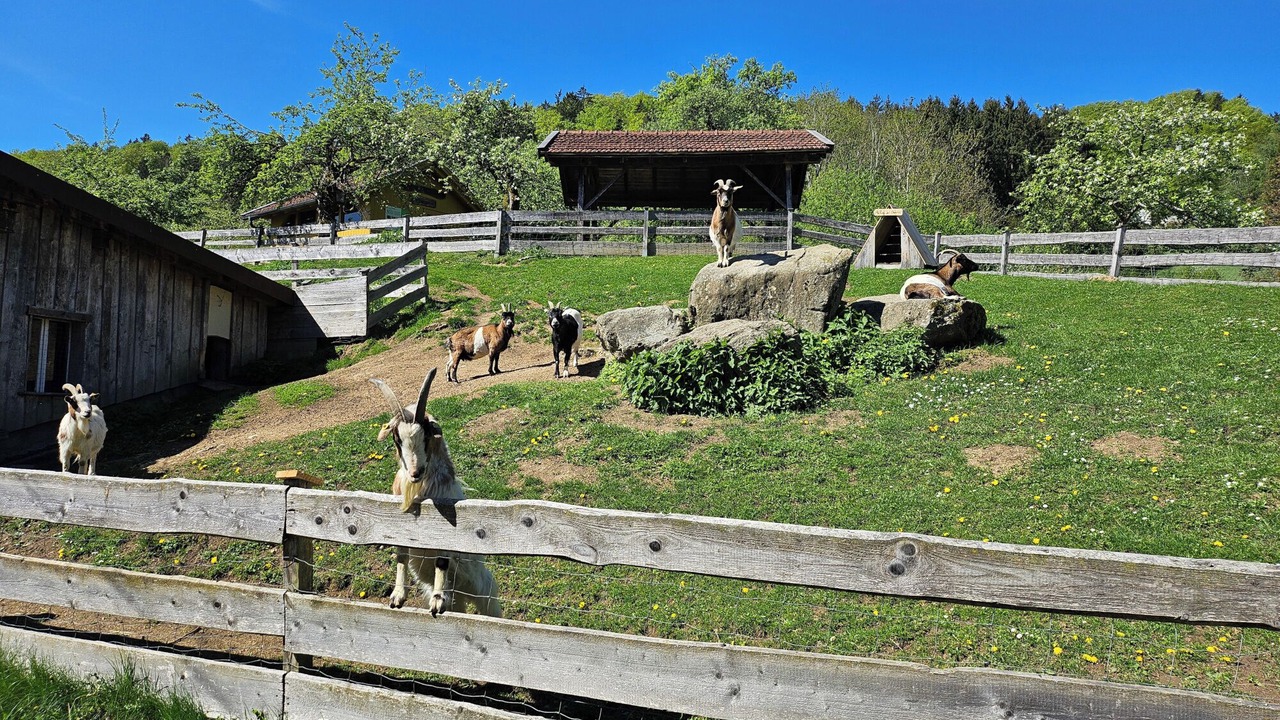 Photo of Outdoor in Ringelai