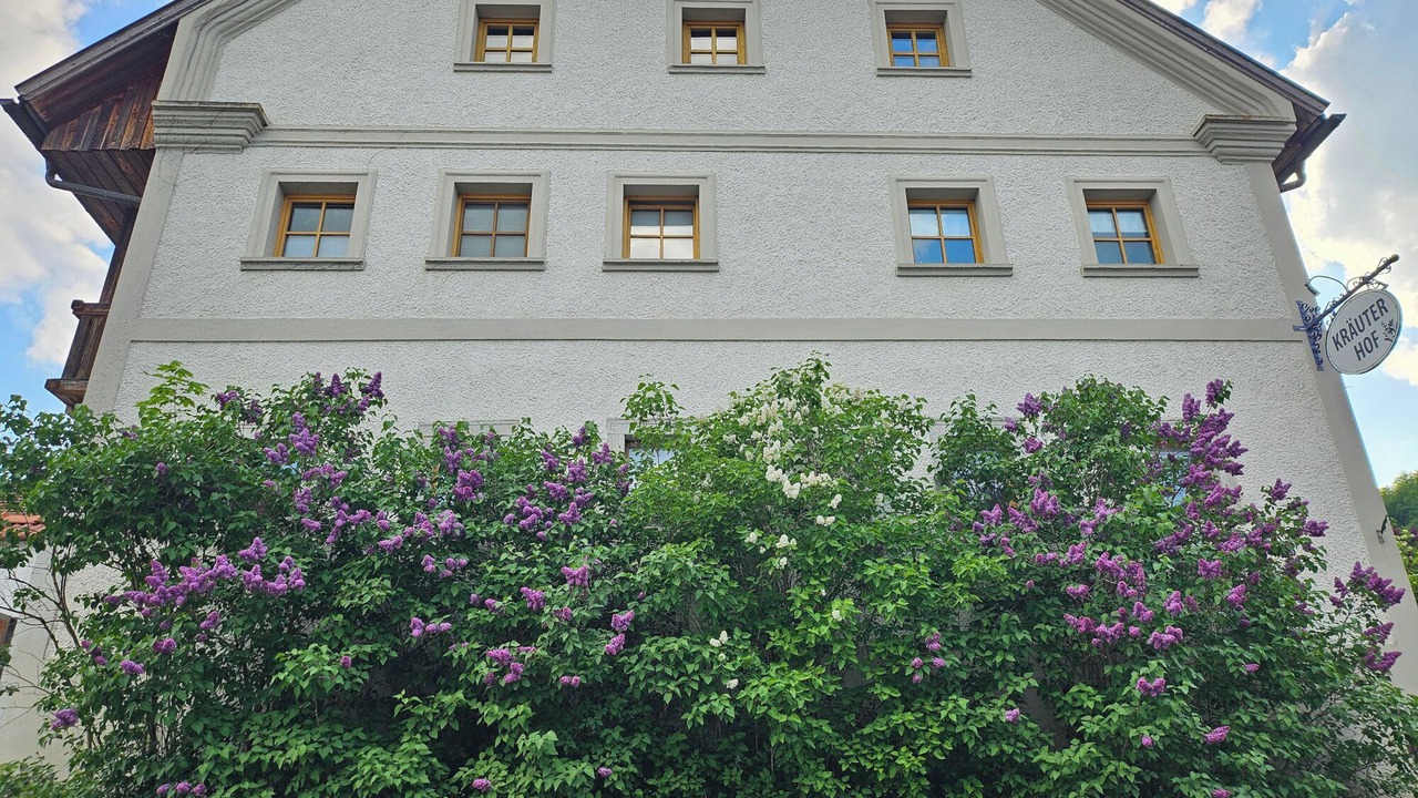 Photo of Outdoor in Ringelai