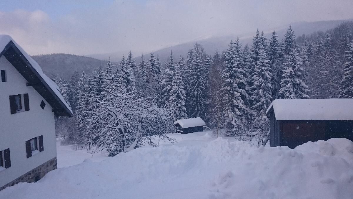 Photo of Outdoor in Neuschoenau