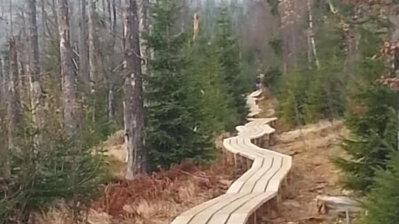 Photo of Outdoor in Neuschoenau