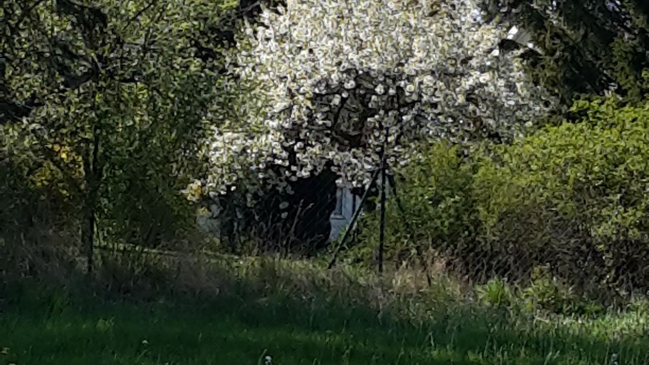 Photo of Outdoor in Kronach