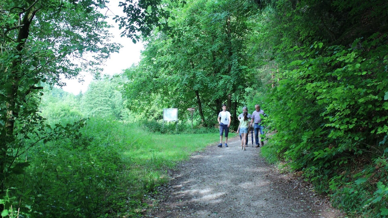 Photo of Outdoor in Waischenfeld