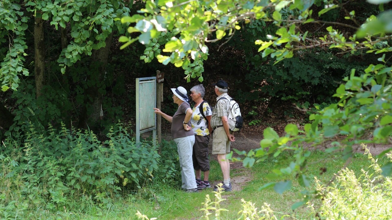 Photo of Outdoor in Waischenfeld