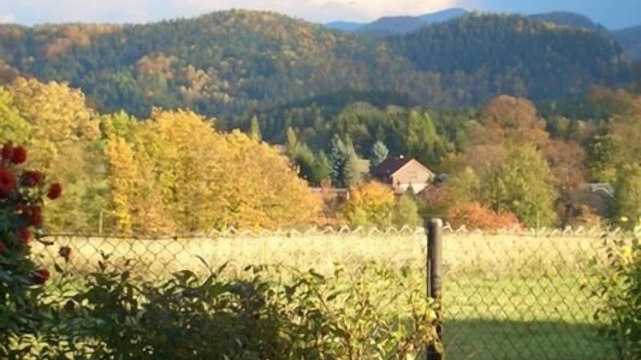 Photo of Others in Lichtenhain