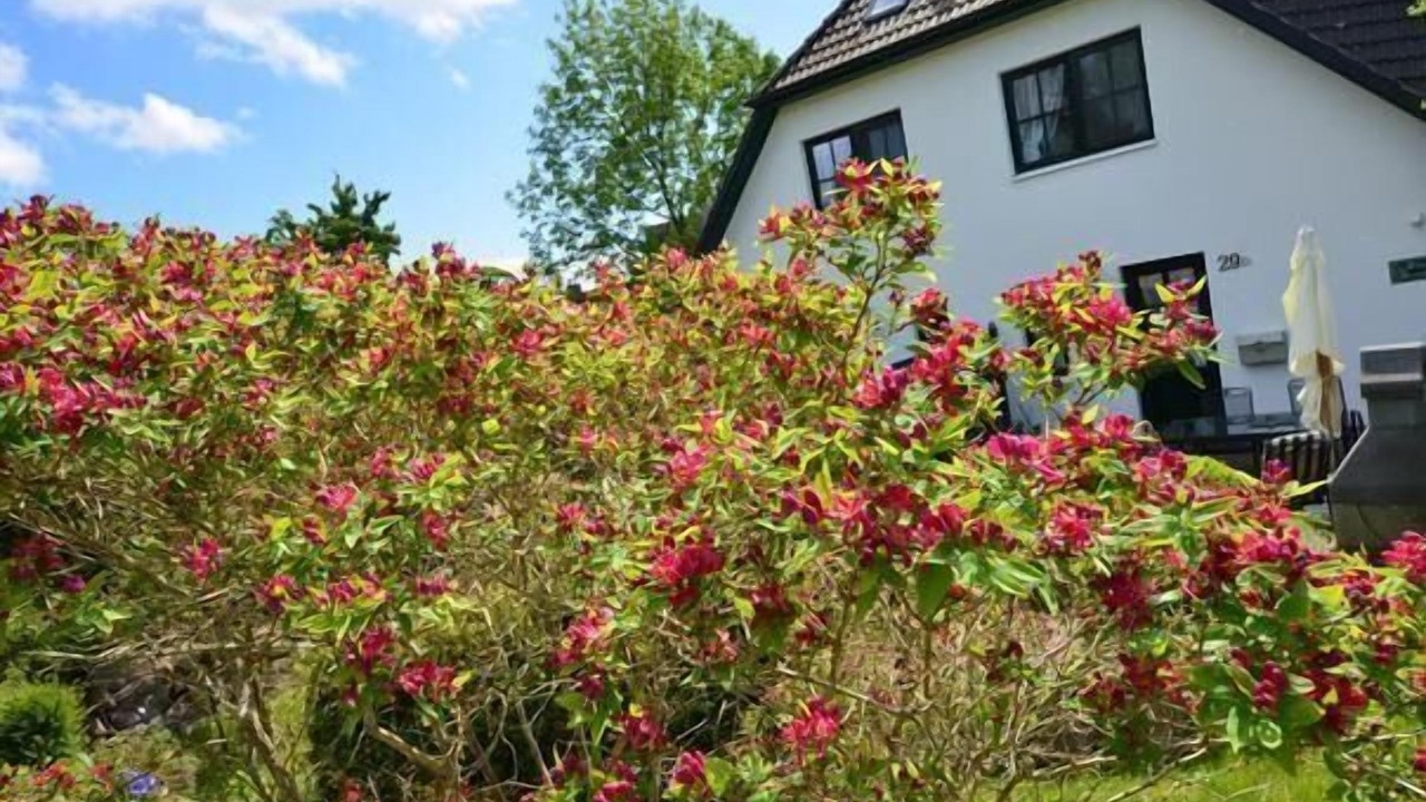 Photo of Outdoor in Gross Zicker