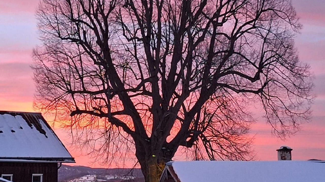 Photo of Outdoor in Philippsreut