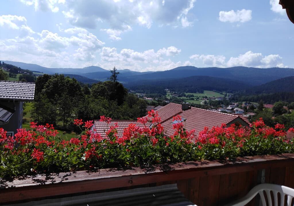 Photo of Outdoor in Lam