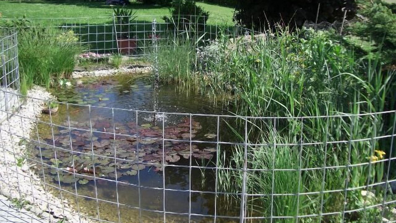 Photo of Outdoor in Hartkirchen