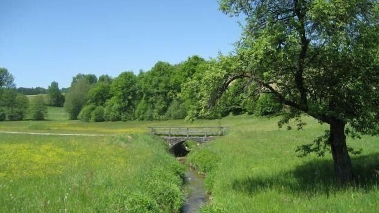 Photo of Others in Roehrnbach