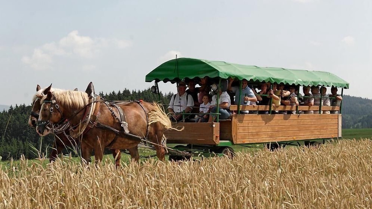 Photo of Others in Roehrnbach