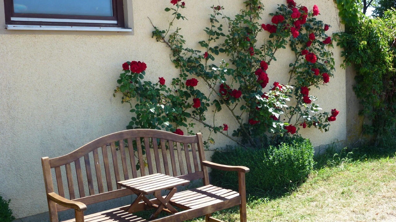 Photo of Patio Balcony in Sulzfeld
