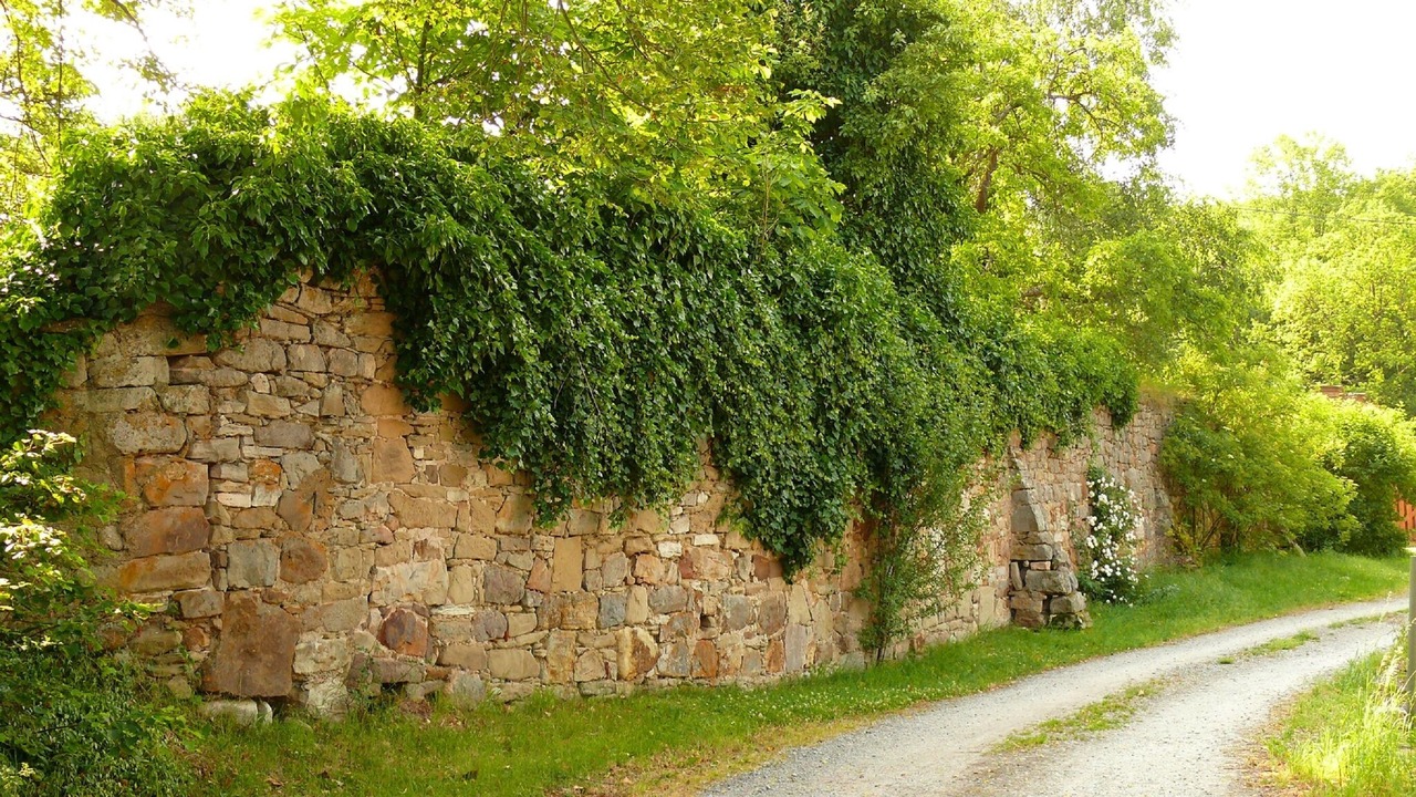 Photo of Outdoor in Sulzfeld
