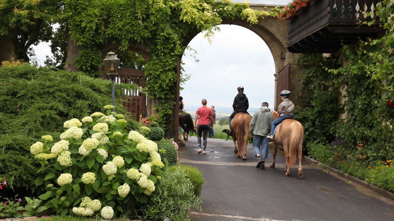 Photo of Outdoor in Sulzfeld