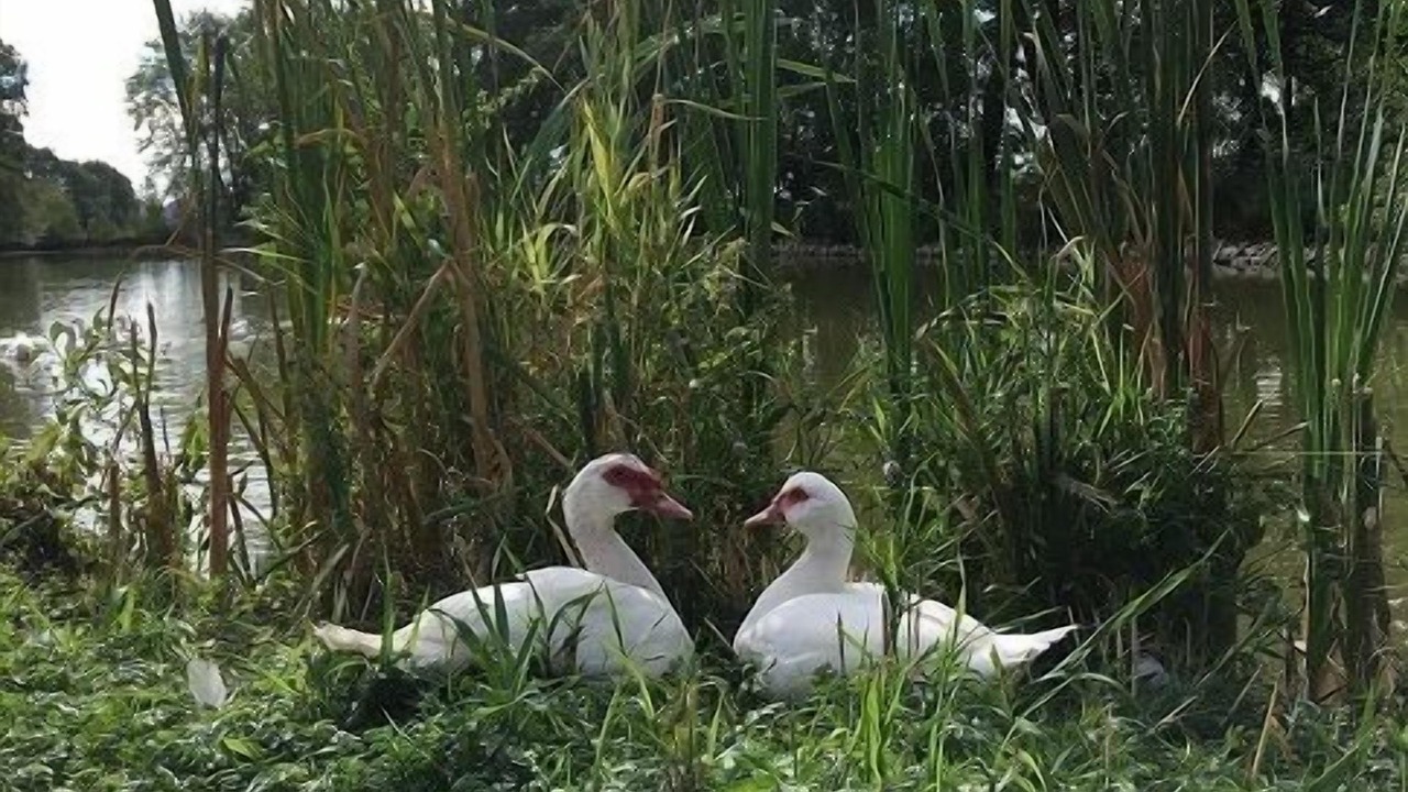 Photo of Outdoor in Leutershausen