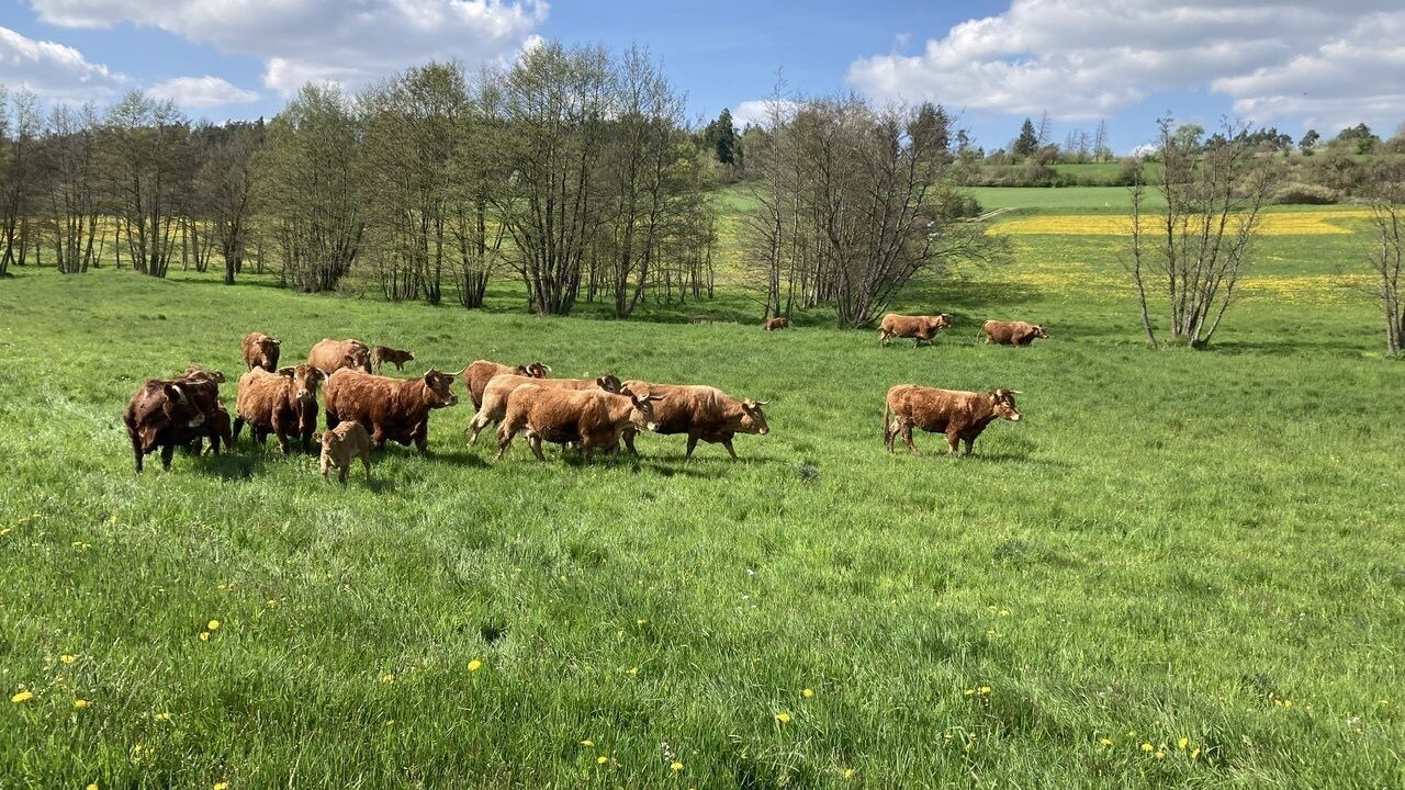 Photo of Outdoor in Leutershausen