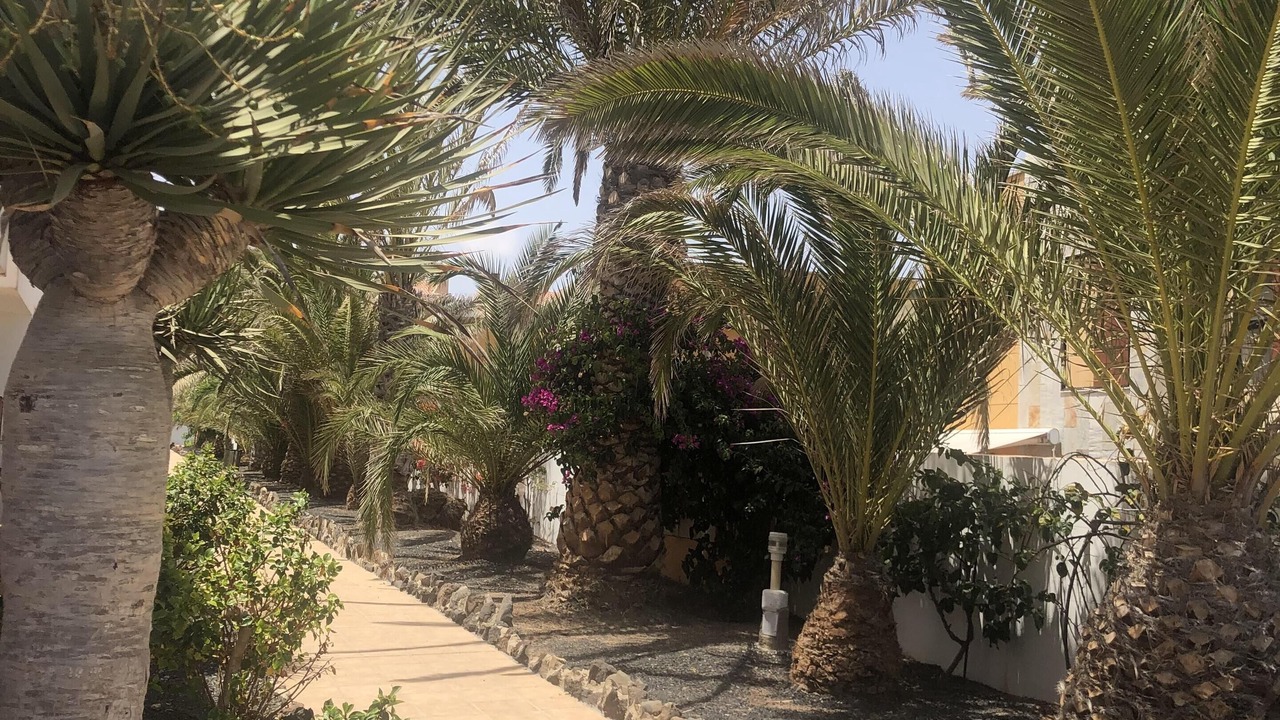 Photo of Outdoor in Nuevo Horizonte