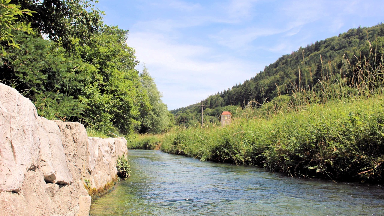 Photo of Others in Obertrubach