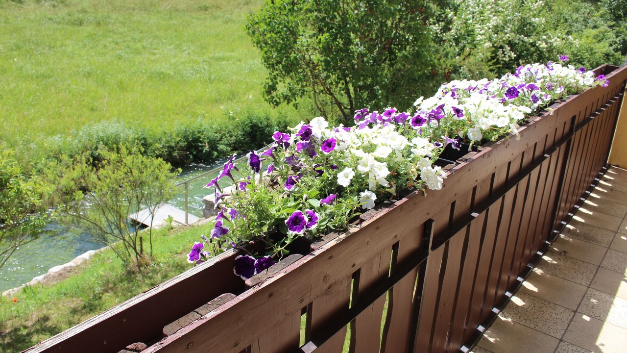 Photo of Outdoor in Obertrubach